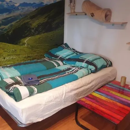 Ferienwohnung Apartment Modern, Bis 4 Personen, Altstadt Fusslaeufig Landshut Eksteriør billede